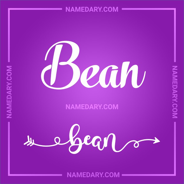 Bean Name meaning, Popularity, Personality, and More